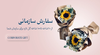 سازمانی
